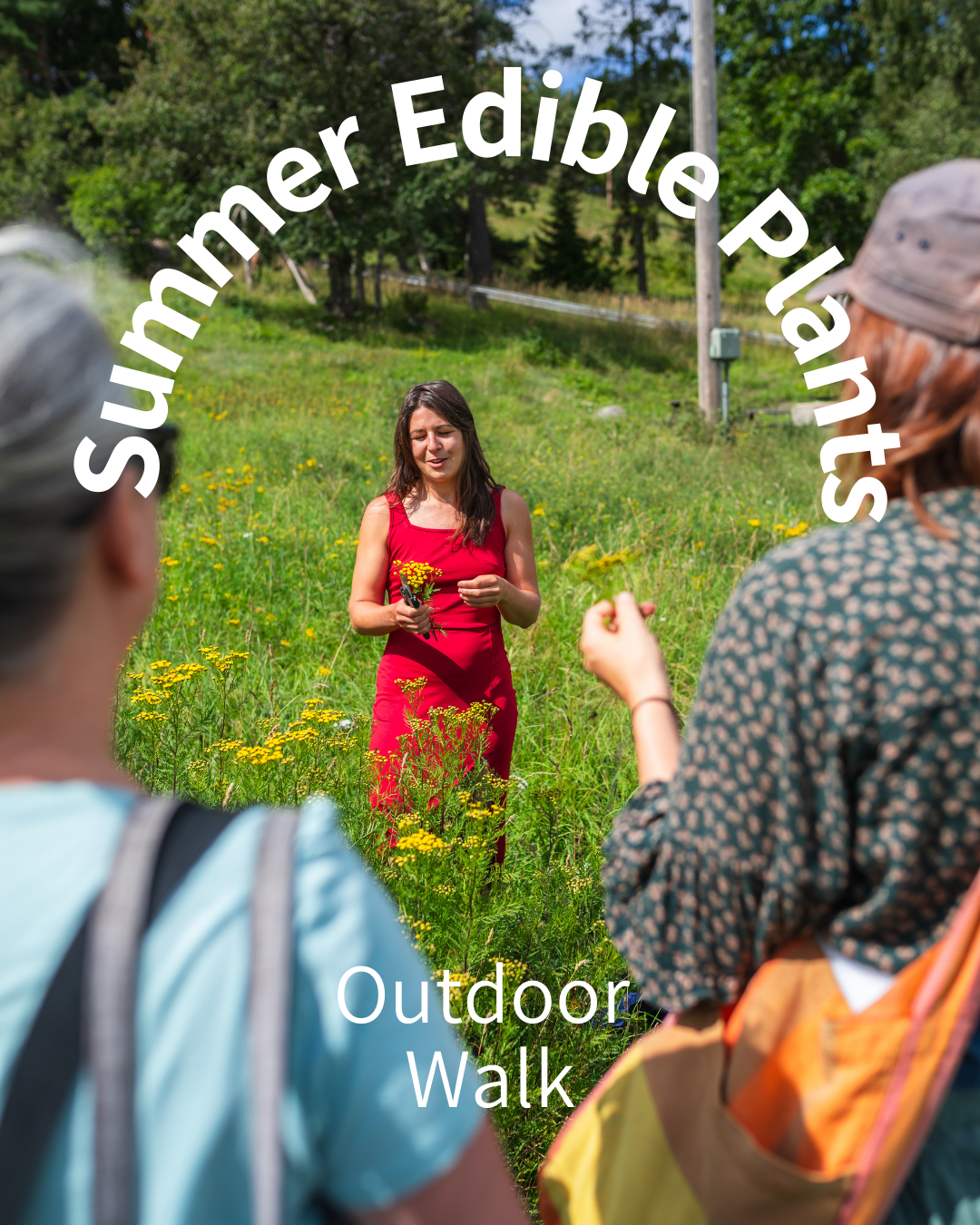 Summer Wild Edible Plants - Vild vandring