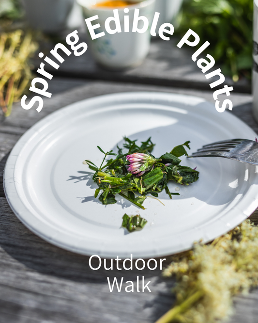 Spring Wild Edible Plants - Vild vandring