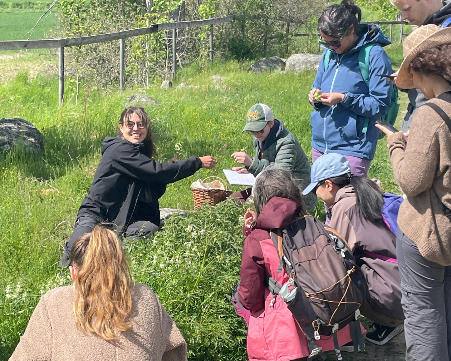 Spring Foraging Walk - Vild vandring