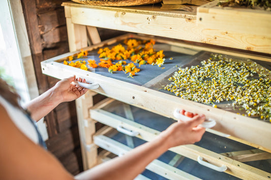 Herb Dryer